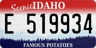 ID license plate E519934