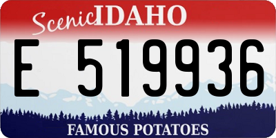 ID license plate E519936