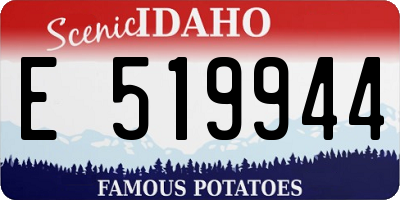 ID license plate E519944