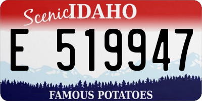 ID license plate E519947