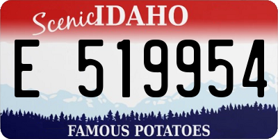 ID license plate E519954