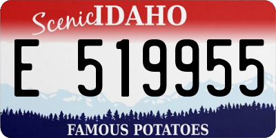 ID license plate E519955