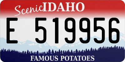 ID license plate E519956