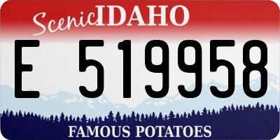 ID license plate E519958