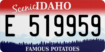 ID license plate E519959