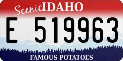 ID license plate E519963