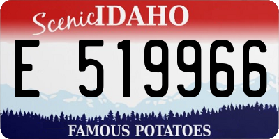 ID license plate E519966