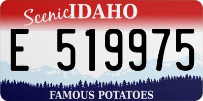 ID license plate E519975