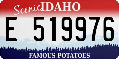 ID license plate E519976