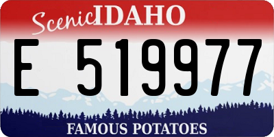 ID license plate E519977