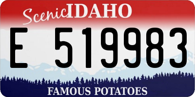 ID license plate E519983