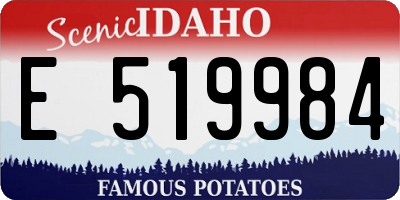 ID license plate E519984