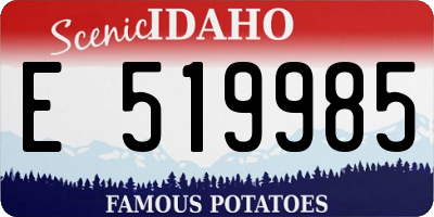 ID license plate E519985