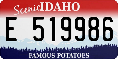 ID license plate E519986