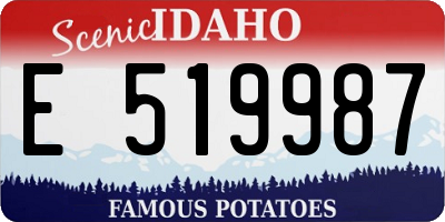 ID license plate E519987