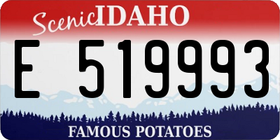 ID license plate E519993