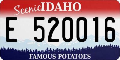 ID license plate E520016
