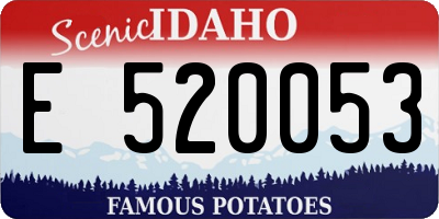 ID license plate E520053