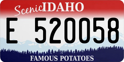 ID license plate E520058