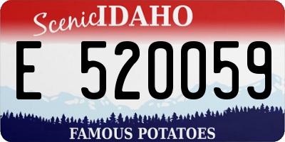 ID license plate E520059