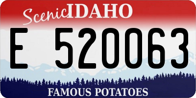 ID license plate E520063