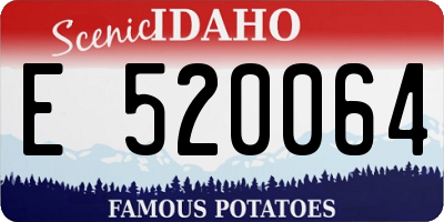 ID license plate E520064