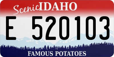 ID license plate E520103