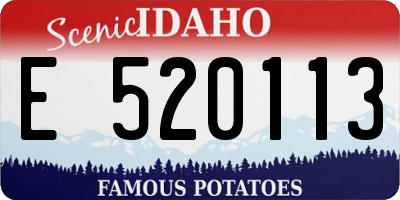 ID license plate E520113