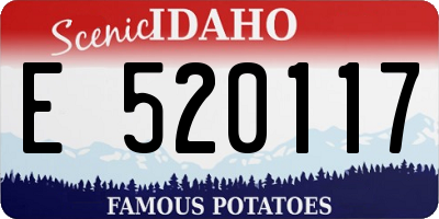 ID license plate E520117