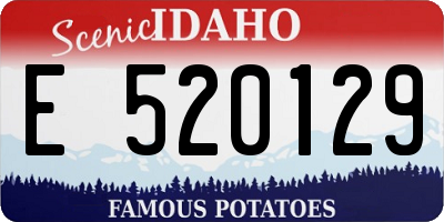 ID license plate E520129