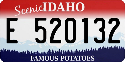 ID license plate E520132