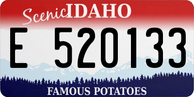 ID license plate E520133