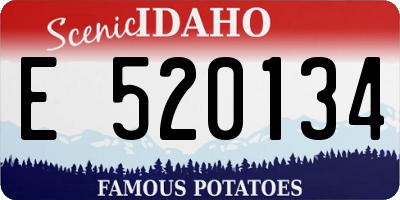 ID license plate E520134