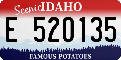 ID license plate E520135