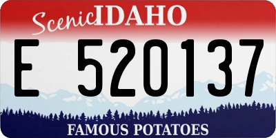 ID license plate E520137