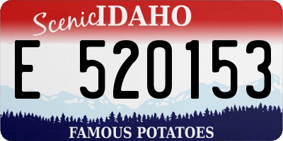 ID license plate E520153