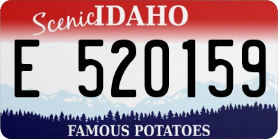 ID license plate E520159