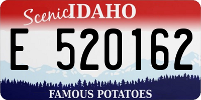 ID license plate E520162