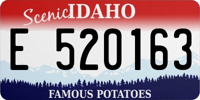 ID license plate E520163