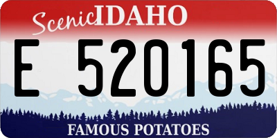 ID license plate E520165