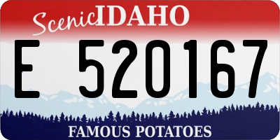 ID license plate E520167