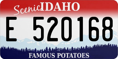ID license plate E520168