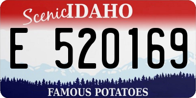 ID license plate E520169