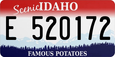 ID license plate E520172