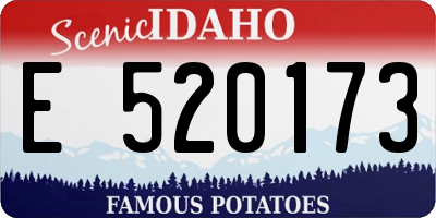 ID license plate E520173