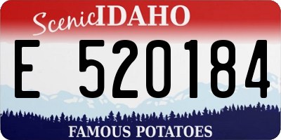 ID license plate E520184