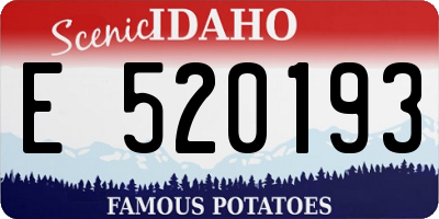 ID license plate E520193