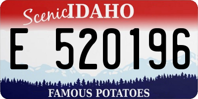 ID license plate E520196