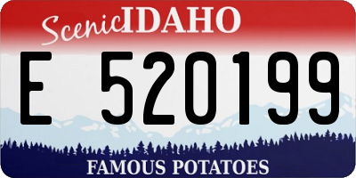 ID license plate E520199