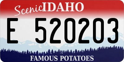 ID license plate E520203